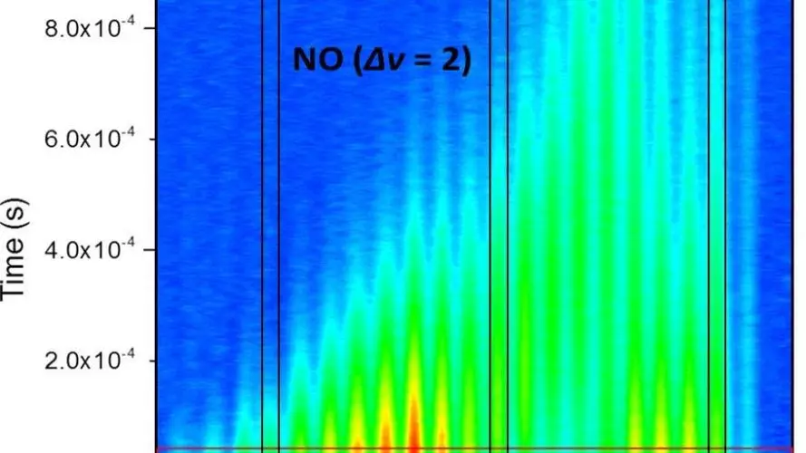 rxn dynamics